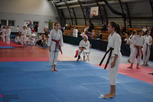 batch_DSC_0019-kopia